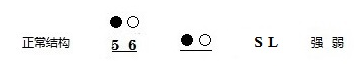 图片50.png